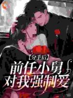 前任小舅是疯批，沈小姐囚宠难逃