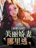 离婚后，闪婚京圈大佬