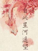 自此星河遥望