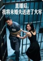 沈初苏景是哪部小说里的人物 直播后，我将未婚夫送进了大牢章节阅读