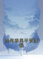 《奈何春风不曾渡我》童烟沈叙白免费章节在线阅读