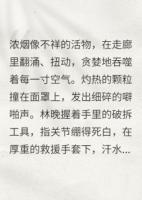 林晚顾燃免费阅读 爱火燎原：失忆后仇人叫我姐姐精彩章节推荐