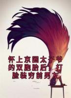 怀上京圈太子爷的双胞胎后，打脸装穷前男友精彩章节阅读：第1章  1
