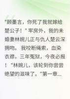 冤狱三年，我用血书复仇了冤狱三年，我用**复仇了精选章节在线免费阅读