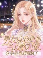 佚名写的小说《男友说我把他当攻略对象，分手后他却悔疯了》免费章节阅读