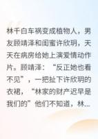 林千白楚以南苏婉小说在线阅读：……精选章节