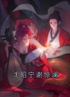 沈昭宁谢惊澜
