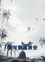 柳可歆墨辞安