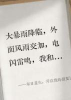 陈凡凡宁宁王丽小说《末日重生，开启我的报复计划》免费章节在线阅读