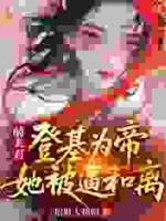 当我的前夫是皇帝，新婆婆要赶我走