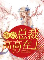 婚劫：总裁高高在上