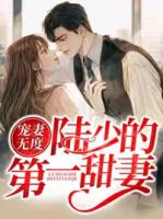 宠妻无度：陆少的第一甜妻