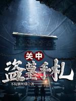关中盗墓手札