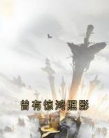 曾有惊鸿照影