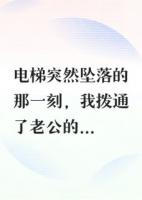 陈浩苏雅小说免费阅读：精彩导读