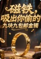 磁铁，吸出你偷的九块九包邮金镯免费章节精选章节在线阅读