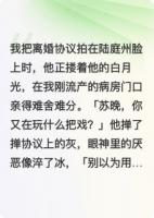 前妻跑了后，陆总他疯了