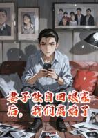 《妻子独自回娘家后，我们离婚了》精选章节在线阅读