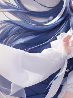 缺陷伴侣
