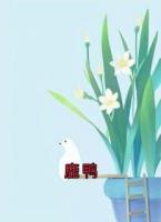鹿鸭