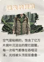 陈浩赵倩迷失的相机免费章节在线阅读