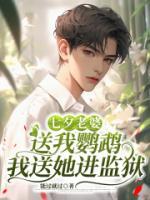 《七夕老婆送我鹦鹉，我送她进监狱》精彩章节阅读：第4章4