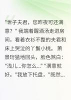 小说主角萧景珩萧景修《世子错房后，我嫁给了他弟弟》章节在线阅读