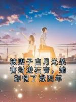《被妻子白月光杀害封进石膏，她却恨了我四年》精彩章节推荐：第6章