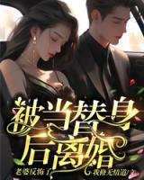 被当替身后离婚,老婆反悔了