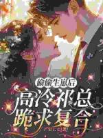 偷偷生崽后，高冷祁总跪求复合