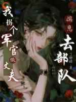 揣崽去部队，我拐个军官做丈夫