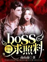 替嫁鲜妻：boss求照料