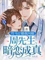 竹马订婚我闪婚，周先生暗恋成真