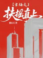 官场之扶摇直上