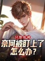 王旭秦淮茹小说章节免费阅读：第4章