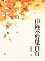 小说《山海不曾见白首》免费章节阅读4