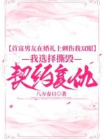 黎文景何青青江叙白小说免费章节阅读：第一章