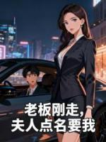 张成林晚姝苏晴的小说名字《老板刚走，夫人点名要我》章节在线阅读