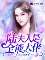 陆夫人是全能大佬