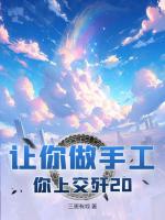 苏晨林若微免费阅读 让你做手工，你上交歼20？精彩章节推荐