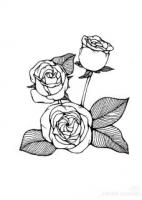 云意林文渊小说免费在线阅读：精选章节