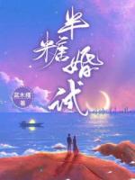 半糖婚试