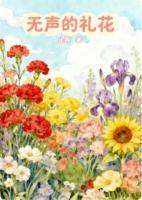 无声的礼花精选章节免费在线阅读