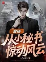 《官场：从小秘书惊动风云》林康小说免费章节在线阅读