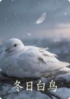 冬日白鸟精选章节全文免费阅读