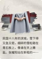 滨城雪烬民国殇