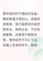 大雪封山:我在荒野求生，弟弟却靠打赏发家致富