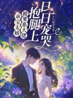 乖宝太娇，被爹系大佬抱腿上日日宠哭