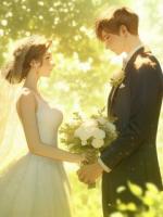 经年不念客如鸿6免费全文阅读