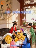 三国：开局劫走何太后